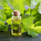 //jkrorwxhrkikll5q-static.ldycdn.com/cloud/liBpjKnilqSRoioqkmolip/best-patchouli-oil-essential-oil-Chinaplantoil-fengzuoil-60-60.jpg