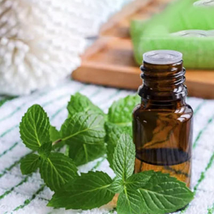Huile de menthe verte